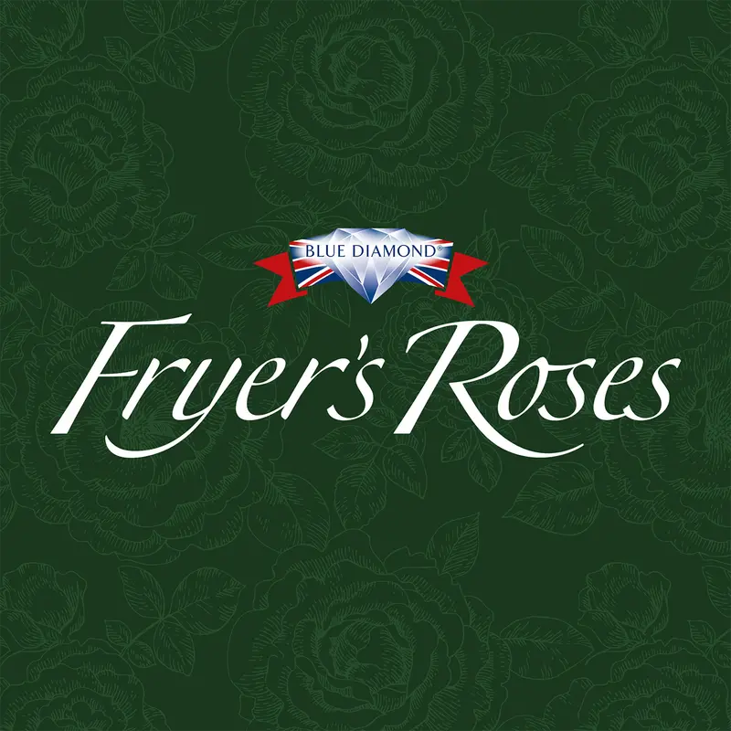 Fryer's Roses