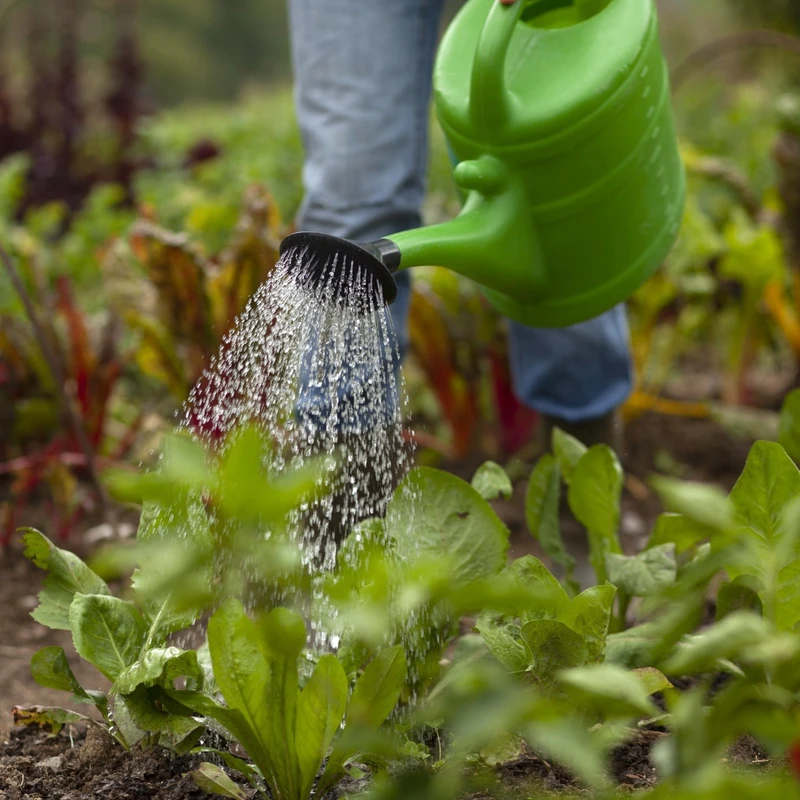 Gardening Essentials