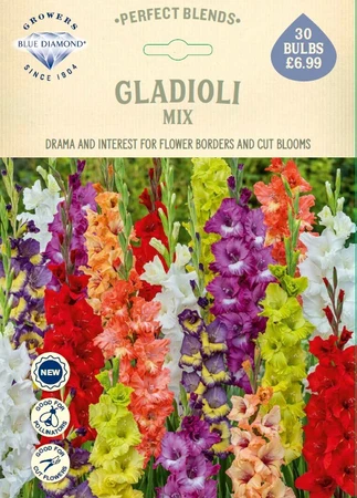 Gladioli Mix