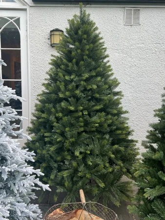 Grand Kensington Green 7ft Fir Tree - image 2