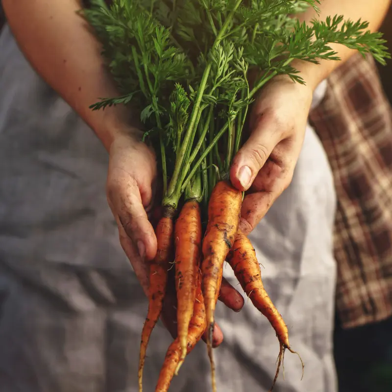 Grow Your Own & Propagation