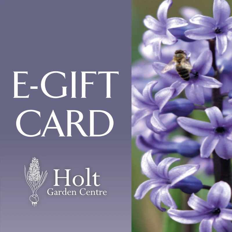 Holt E-Gift Cards