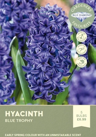 Hyacinth Bedding Blue Trophy