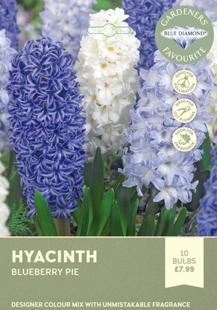 Hyacinth Bedding Blueberry Pie