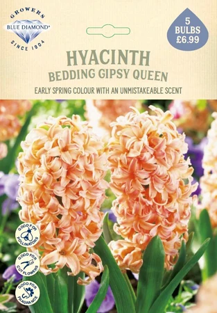 Hyacinth Bedding Gipsy Queen NE - image 1