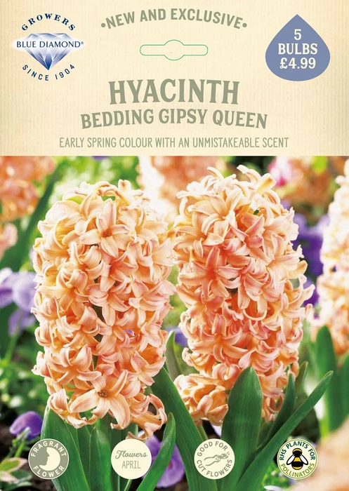 Hyacinth Bedding Gipsy Queen NE - image 2