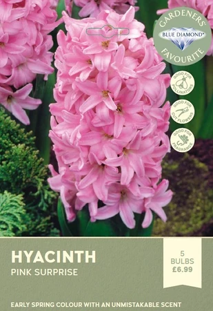 Hyacinth Bedding Pink Surprise