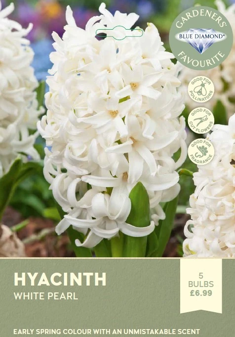 Hyacinth Bedding White Pearl
