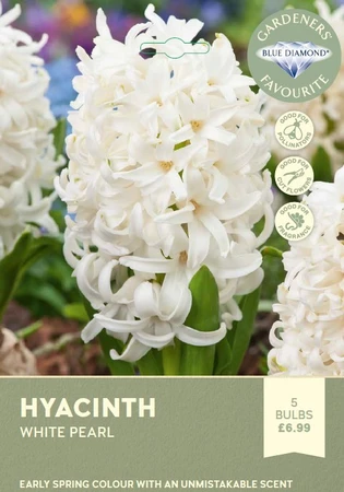 Hyacinth Bedding White Pearl