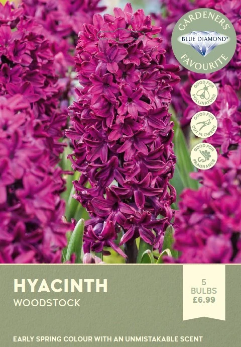 Hyacinth Bedding Woodstock