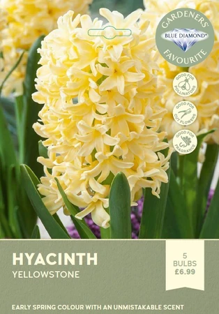 Hyacinth Bedding Yellowstone