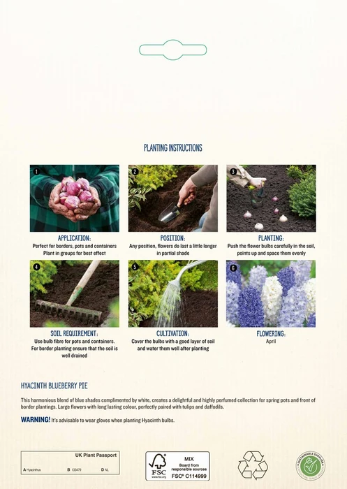 Hyacinth Blueberry Pie CR - image 4