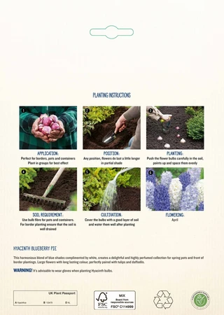 Hyacinth Blueberry Pie CR - image 4