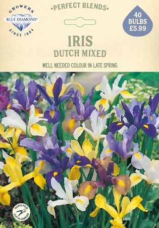 Iris Dutch Mixed PBR - image 1