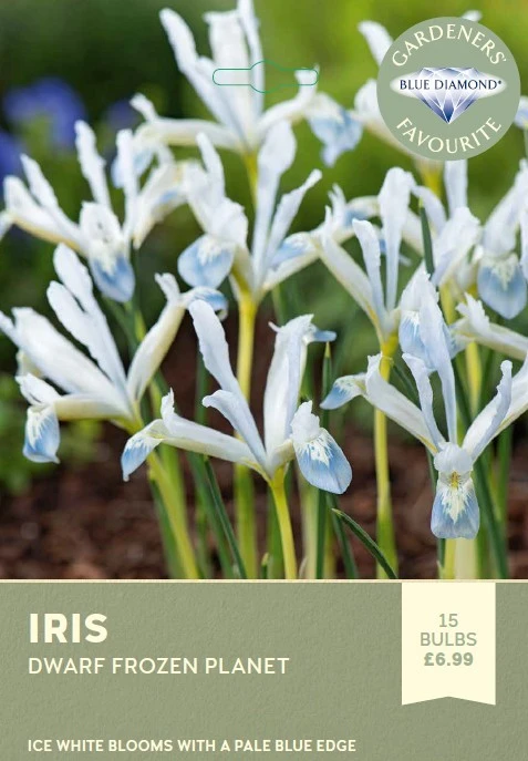 Iris Frozen Planet