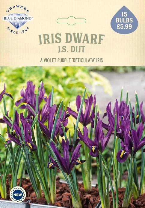Iris J.S. Dijt NE
