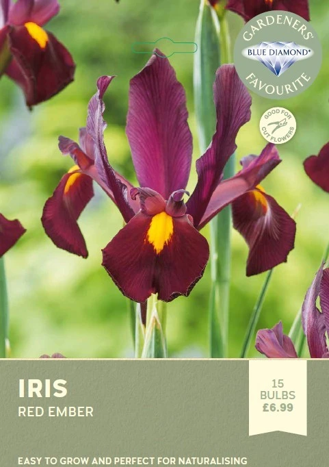 Iris Red Ember
