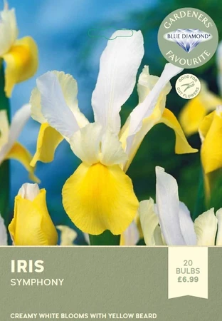 Iris Symphony
