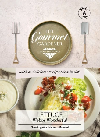 LETTUCE Webbs Wonderful