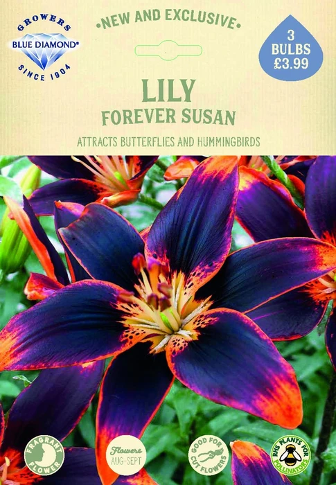 Lilium Forever Susan - image 2