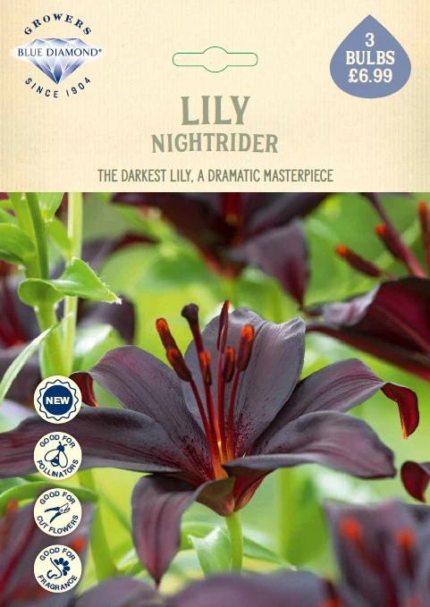 Lilium Nightrider