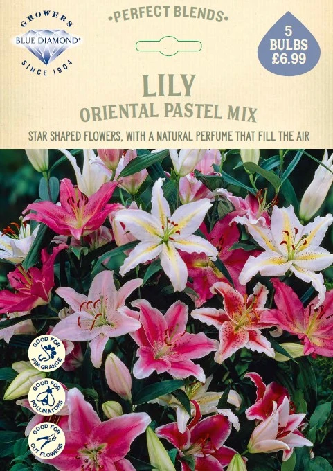 Lilium Oriental Pastel Mix