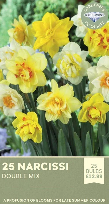 Narcissi Double Mix