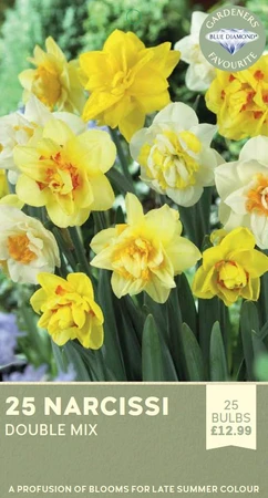 Narcissi Double Mix