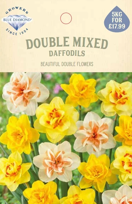 Narcissi Double Mix 5Kg - image 1