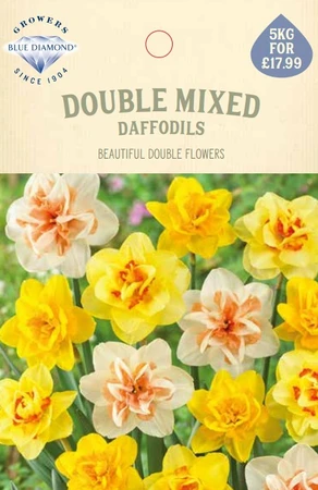 Narcissi Double Mix 5Kg - image 1