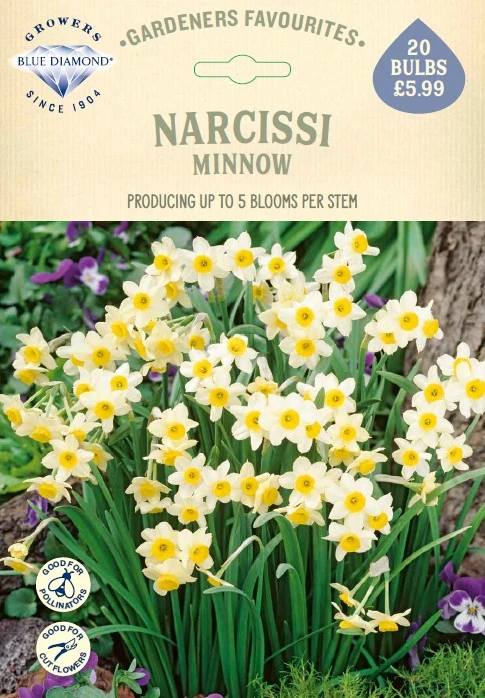 Narcissi Minnow GF - image 1