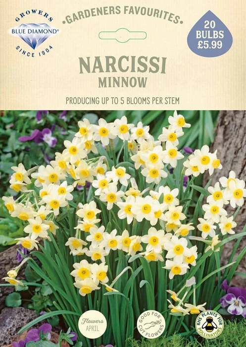 Narcissi Minnow GF - image 2