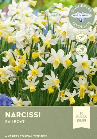 Narcissi Sailboat