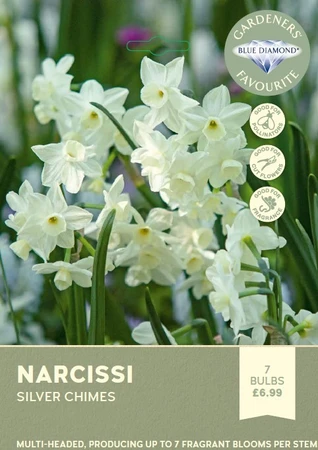 Narcissi Silver Chimes