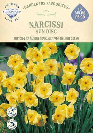 Narcissi Sun Disc GF - image 1