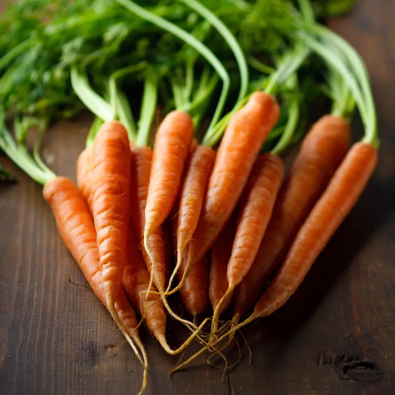 Organic Vegetable Seeds