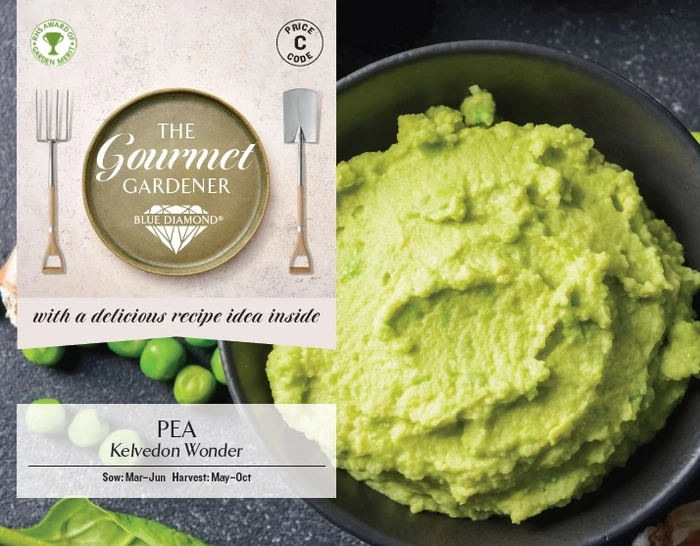 PEA Kelvedon Wonder