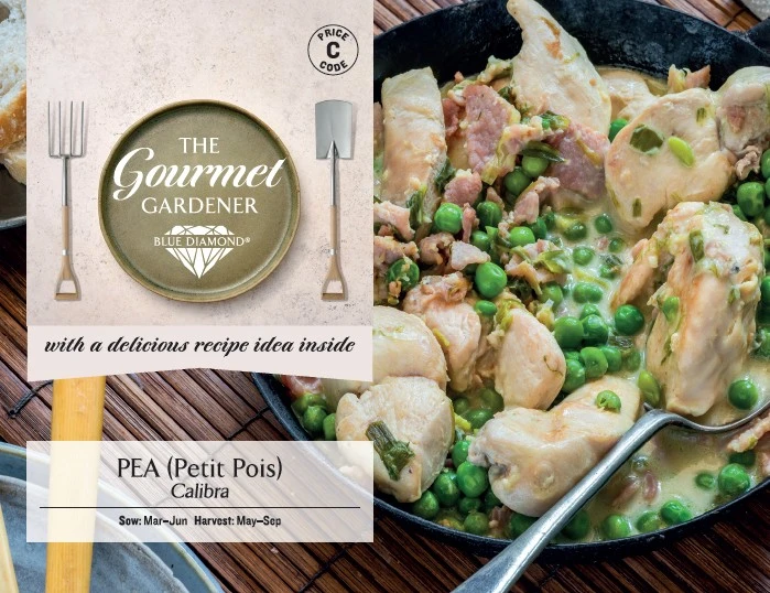 PEA Petit Pois Calibra