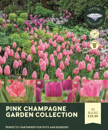 Pink Champagne Garden Collection