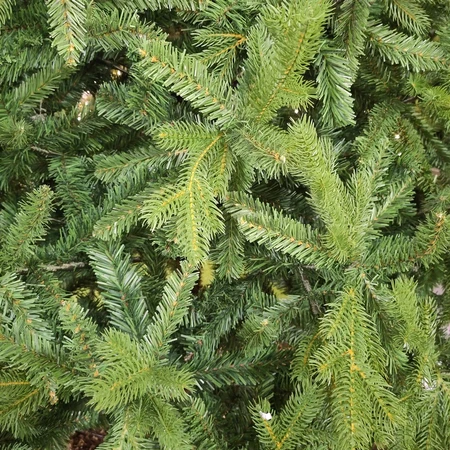 Priestly 7ft Christmas Tree - image 6