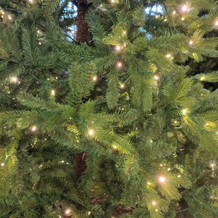 Priestly 7ft Pre-Lit Xmas Tree - image 4