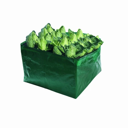 Vegetable Bag - image 3