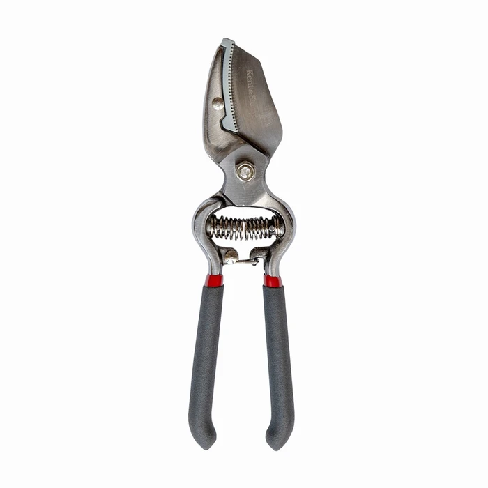 Y21 Traditional Anvil Secateurs