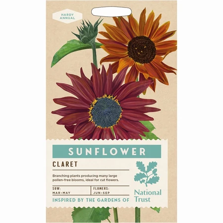 Sunflower Claret F1 - image 1