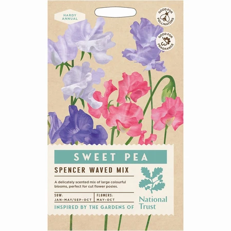 Sweet Pea Spencer Waved Mixed - image 1