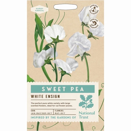 Sweet Pea White Ensign - image 1