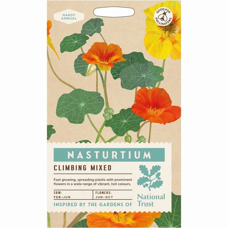 Nasturtium Climbing Mixed - image 1