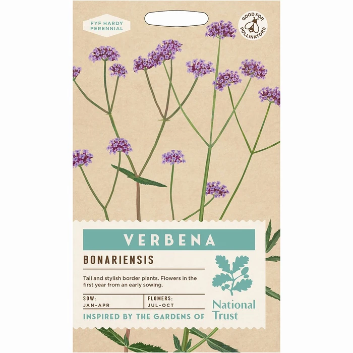 Verbena Bonariensis - image 1