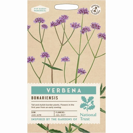 Verbena Bonariensis - image 1