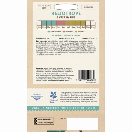 Heliotropium Marine - image 2
